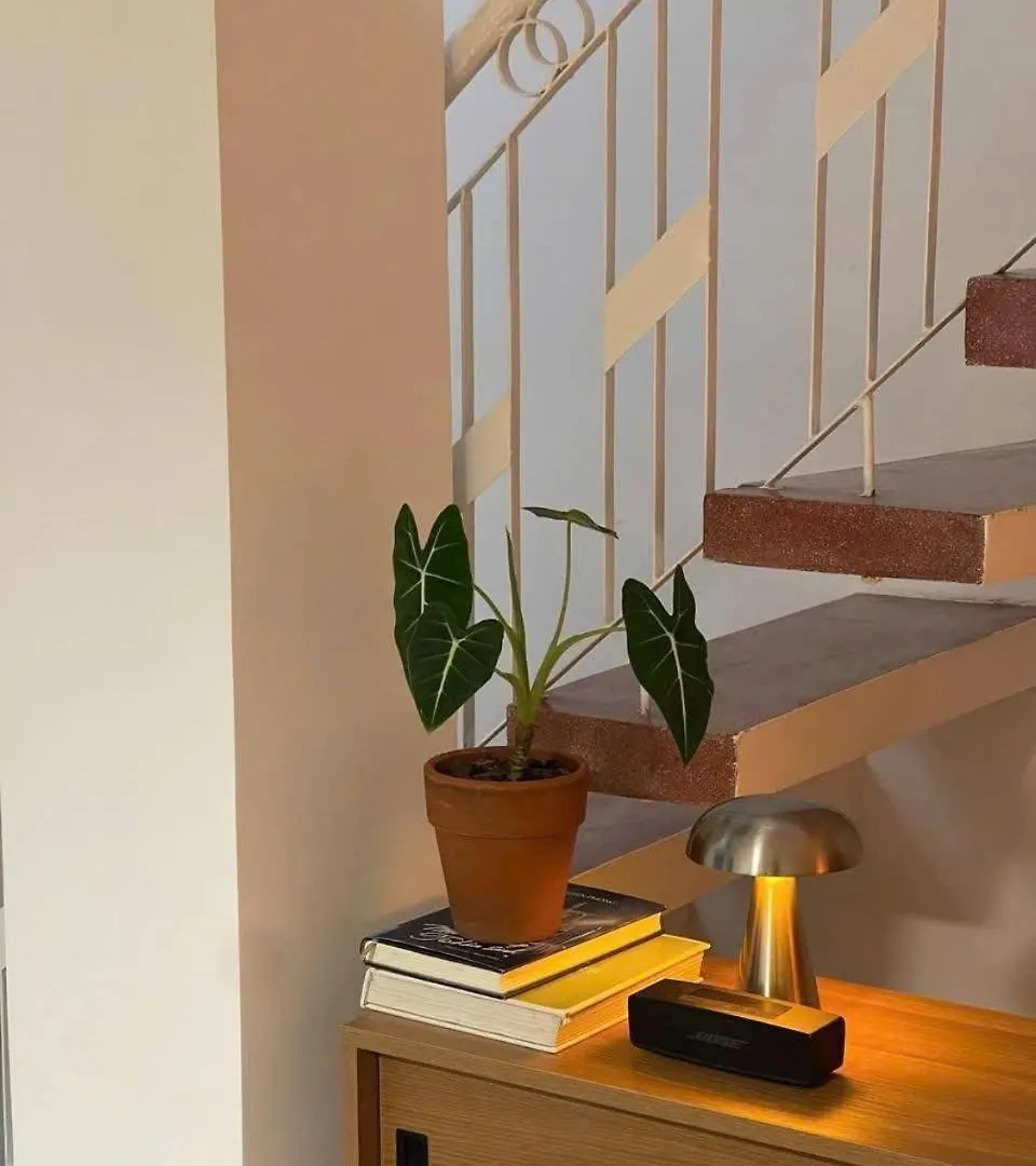 55 Buoc La Toi House - 55 Steps To Go Apartment Da Nang Homestay